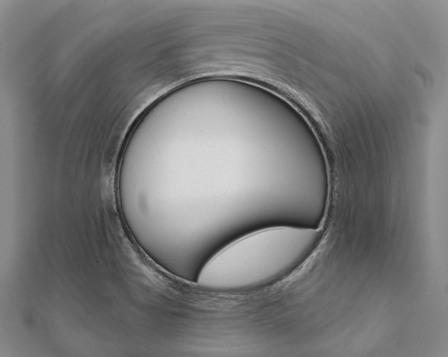 X0000112061513200908041000