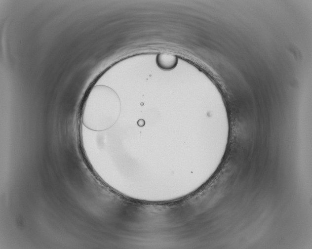 X0000112061514200908041000