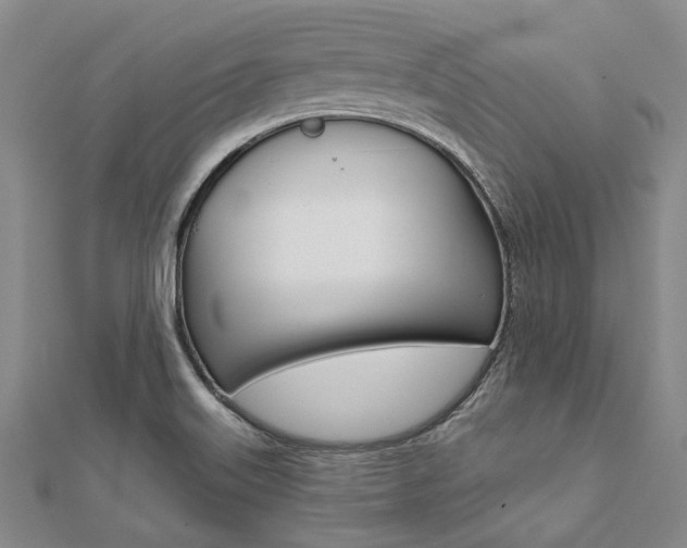 X0000112061515200908041000