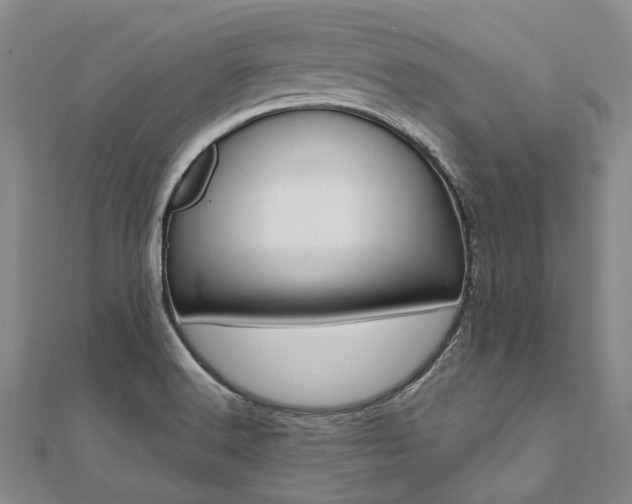 X0000112061516200908041000