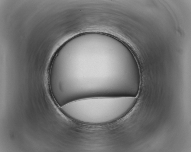 X0000112061517200908041000