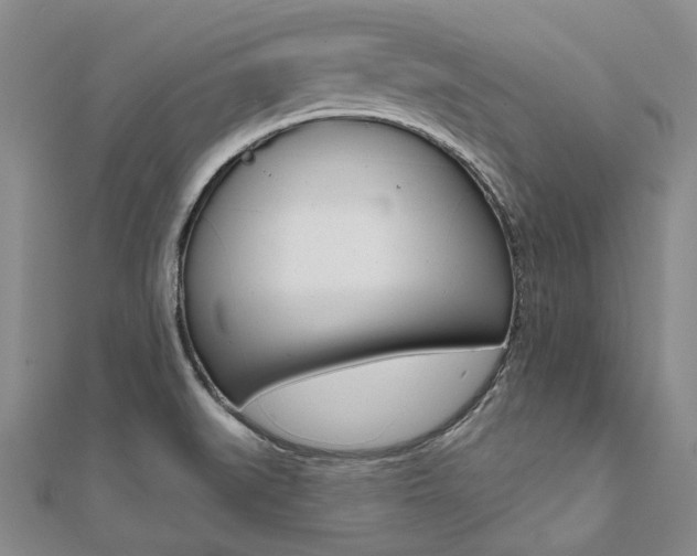 X0000112061519200908041000