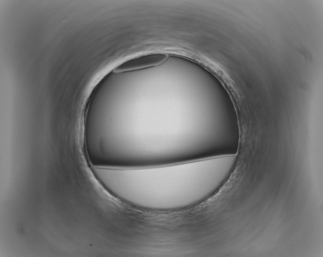X0000112061520200908041000