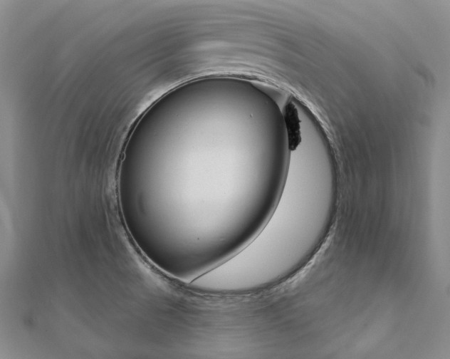 X0000112061521200908041000