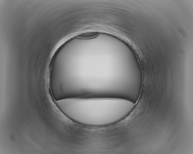 X0000112061522200908041000