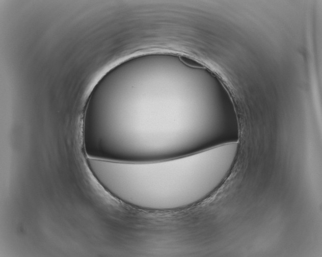 X0000112061524200908041000
