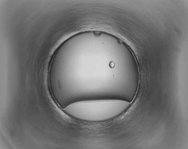 X0000112061525200908041000