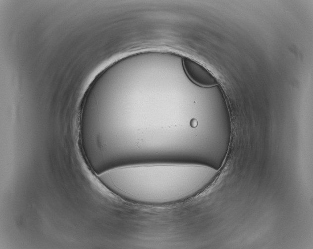 X0000112061526200908041000