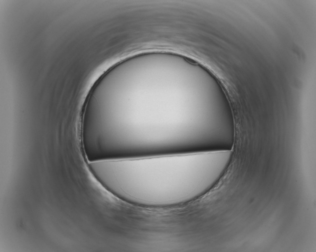 X0000112061527200908041000