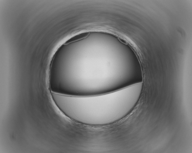 X0000112061528200908041000