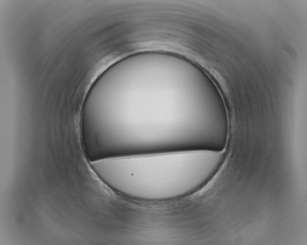X0000112061529200908041000