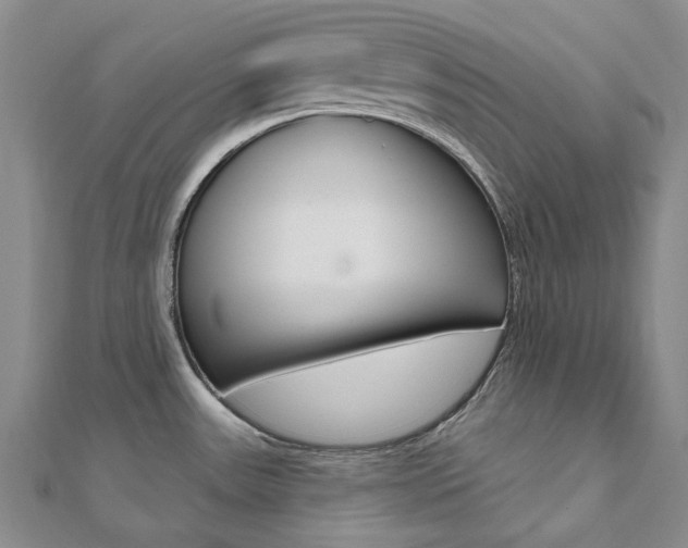 X0000112061531200908041000