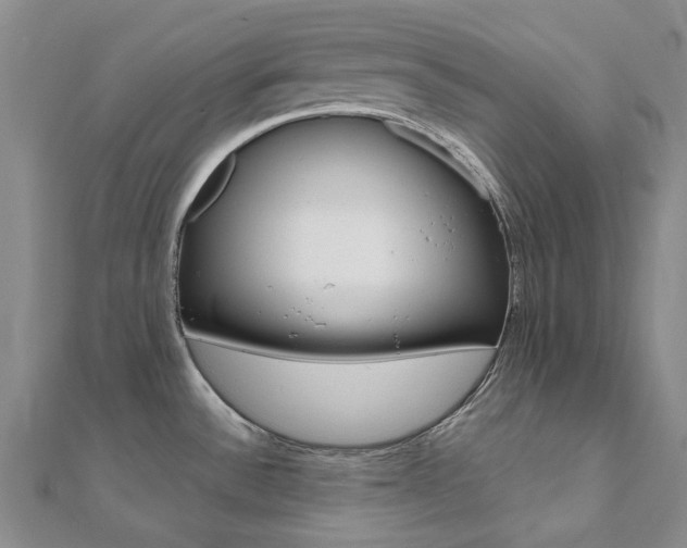 X0000112061532200908041000