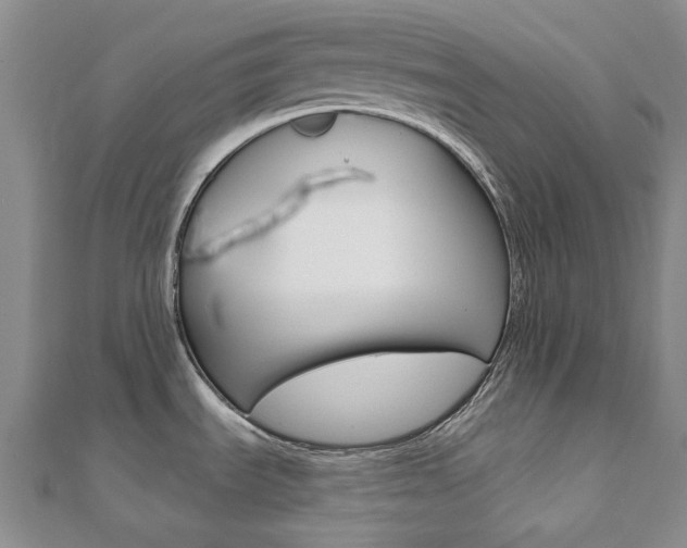 X0000112061535200908041000