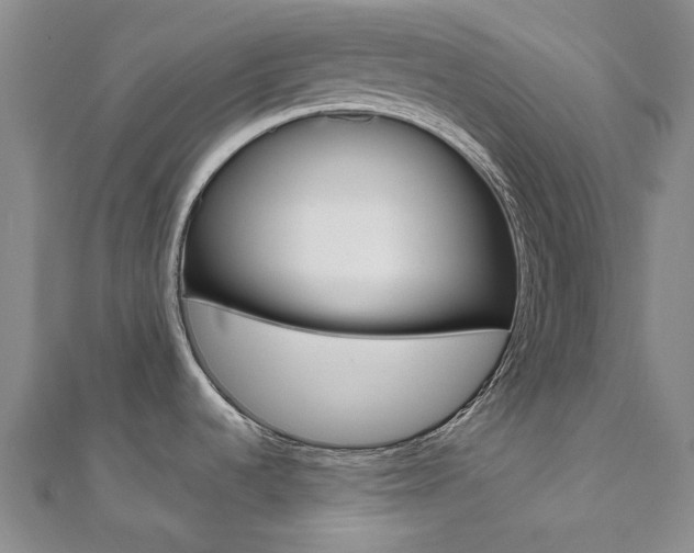 X0000112061536200908041000