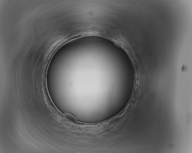 X0000112060001200908041226