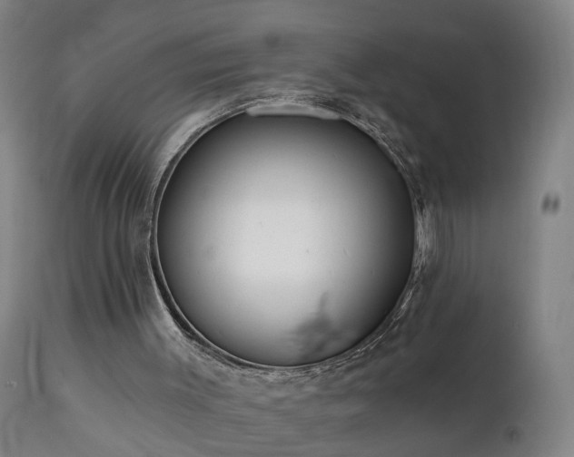 X0000112060003200908041226