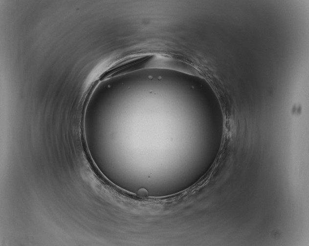 X0000112060004200908041226
