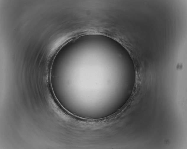 X0000112060005200908041226