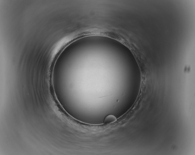 X0000112060006200908041226