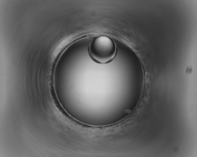 X0000112060007200908041226