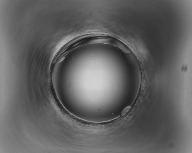 X0000112060008200908041226