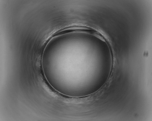 X0000112060009200908041226