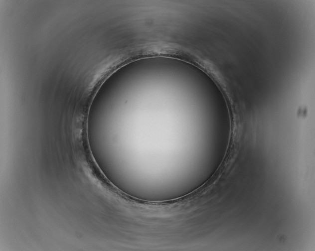 X0000112060010200908041226