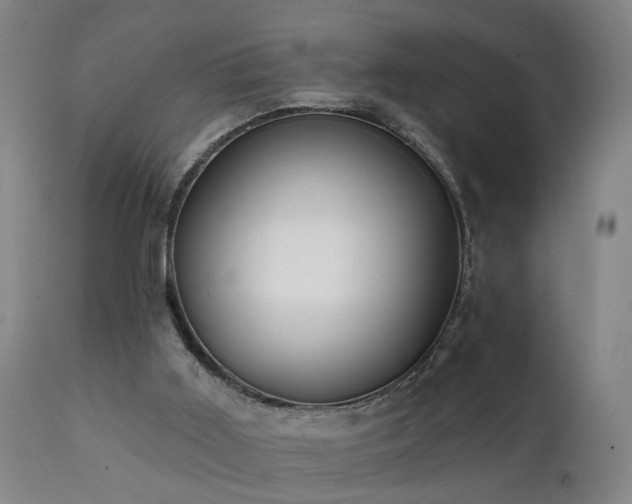 X0000112060011200908041226