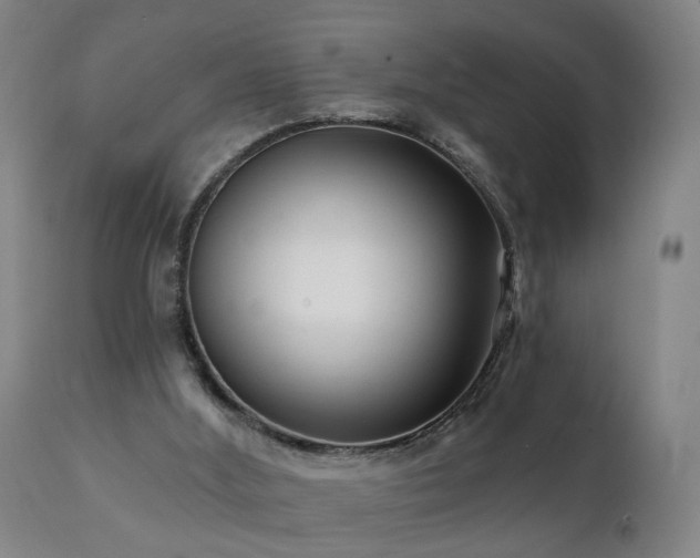 X0000112060012200908041226