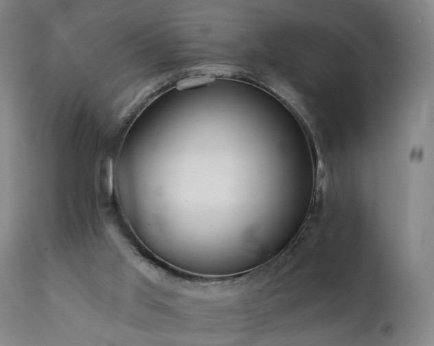 X0000112060013200908041226