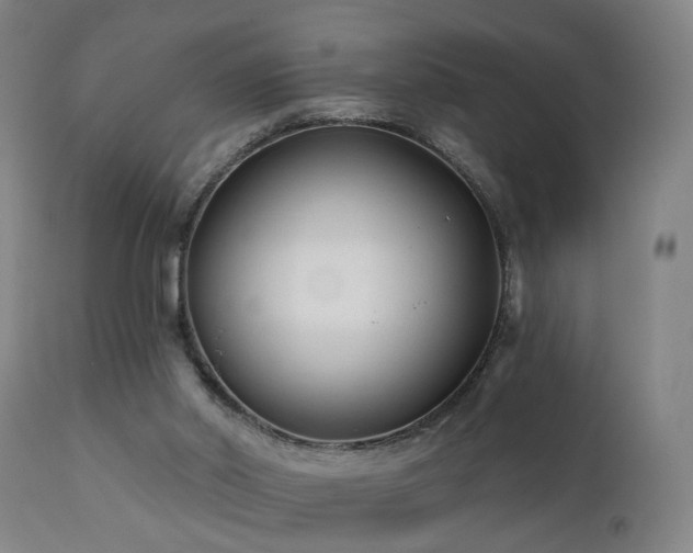 X0000112060014200908041226