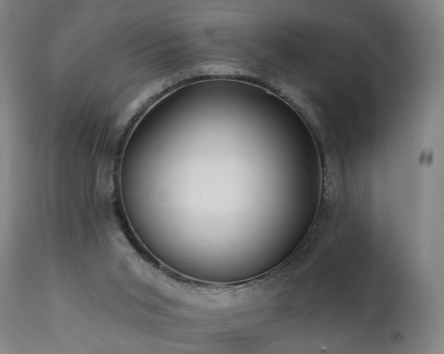 X0000112060015200908041226