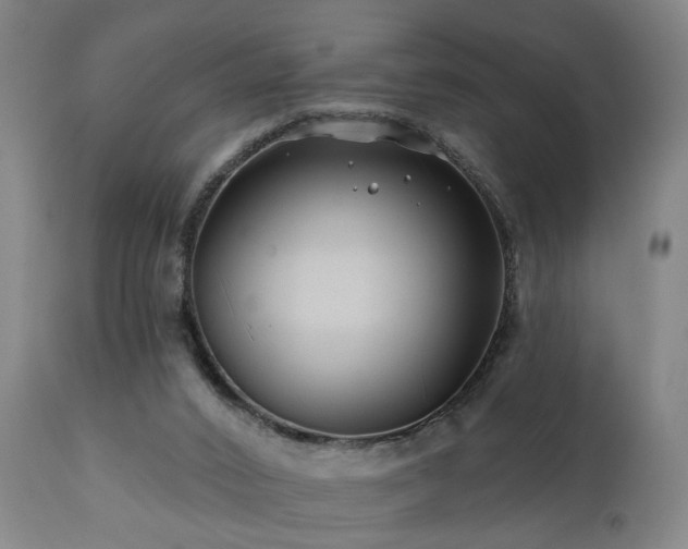 X0000112060016200908041226