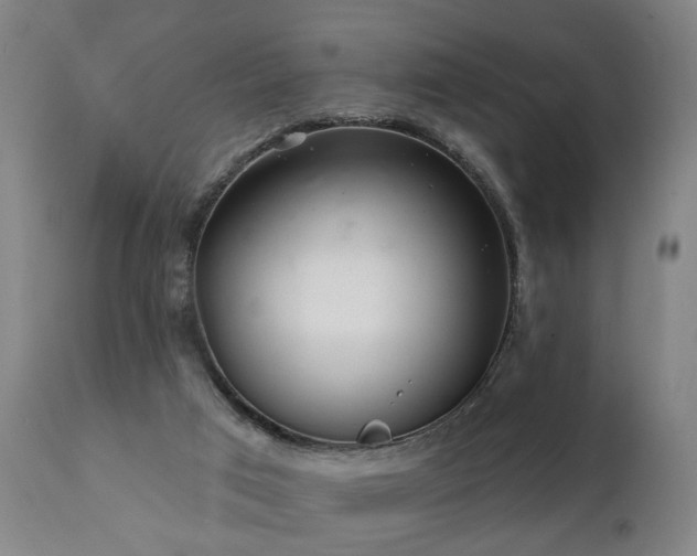 X0000112060017200908041226
