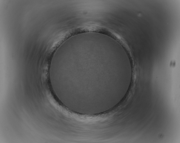 X0000112060018200908041226