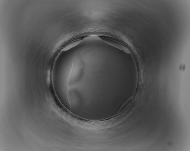 X0000112060019200908041226