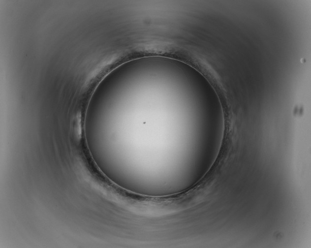 X0000112060020200908041226