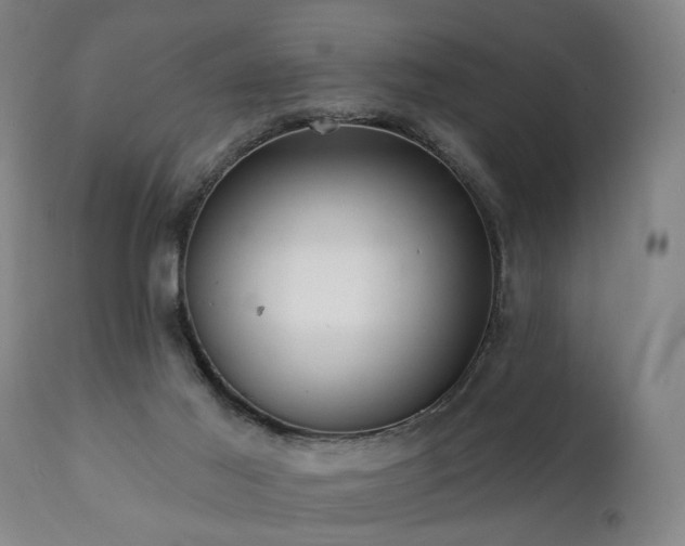 X0000112060021200908041226