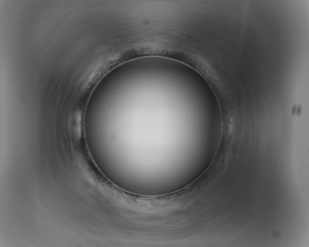 X0000112060022200908041226