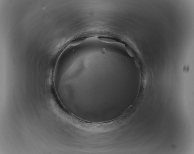 X0000112060023200908041226