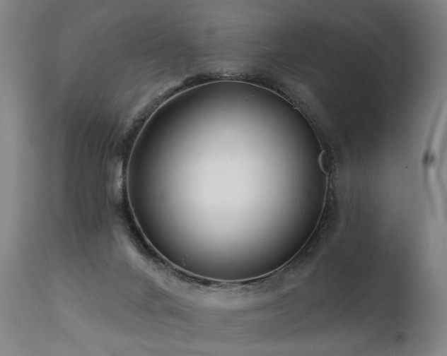 X0000112060024200908041226