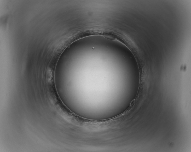 X0000112060025200908041226