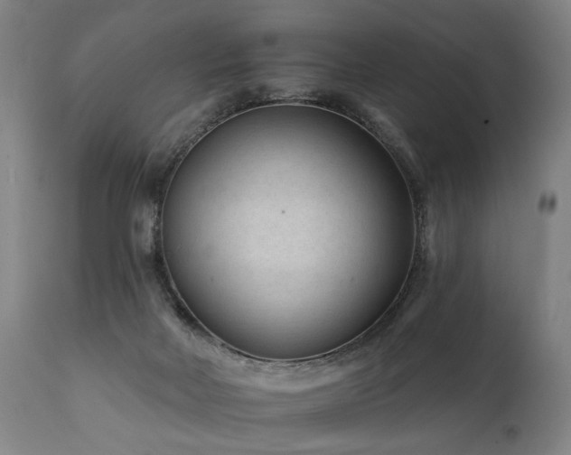 X0000112060026200908041226