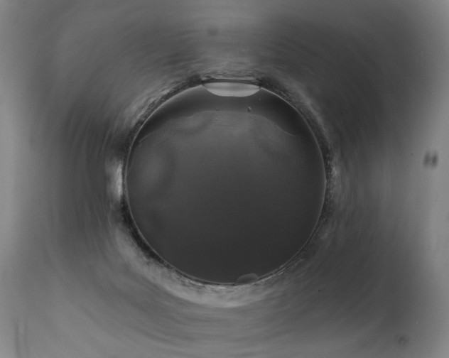 X0000112060027200908041226