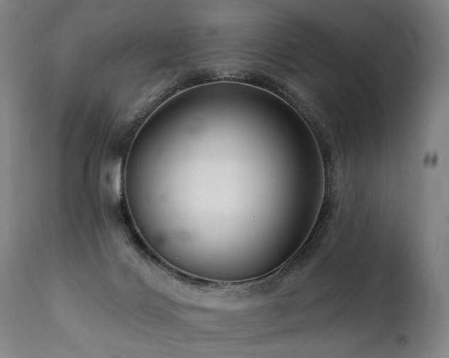X0000112060028200908041226