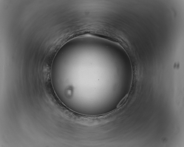 X0000112060029200908041226