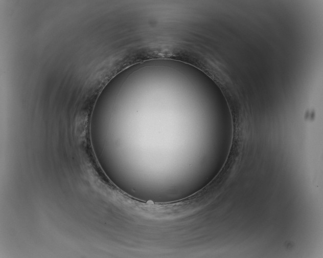 X0000112060030200908041226