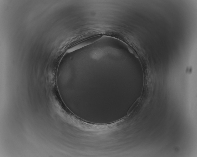 X0000112060031200908041226