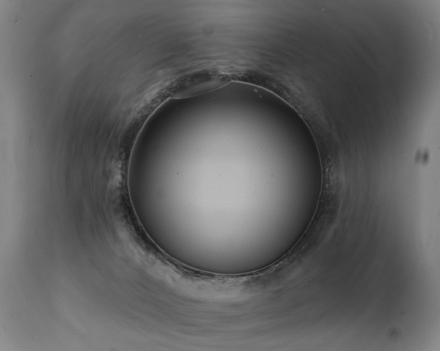 X0000112060032200908041226